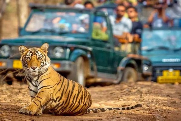 Luxury Oberoi Golden Triangle with Ranthambore Tiger Tour from Delhi